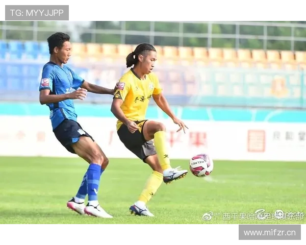 卢城河陈曾吴畏加盟厦门飞鹭队